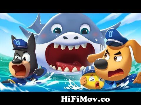 A Big Shark is Coming | Safety Cartoon | Police Cartoon | Sheriff Labrador  | Kids Cartoon | BabyBus from daman cartoon hindi song videos mp4 Watch  Video 