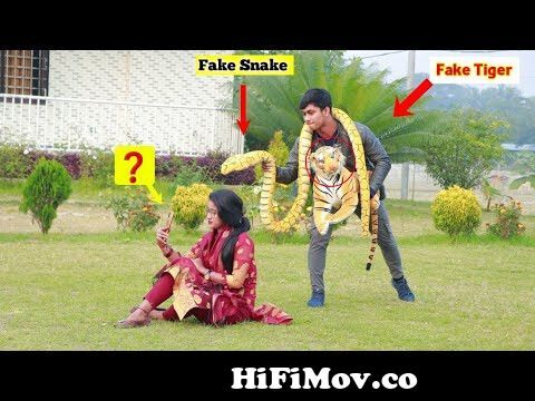 Fake Tiger 🐯 with Fake Snake 🐍 Prank Video 2022 | So Funny Prank Video  Awesome