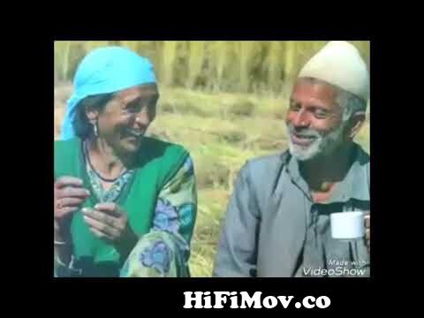 Kashmiri Prank Call I Hey Chai Karve Chai I Kashmiri Talent from xaid  talent jokes kashmire Watch Video 