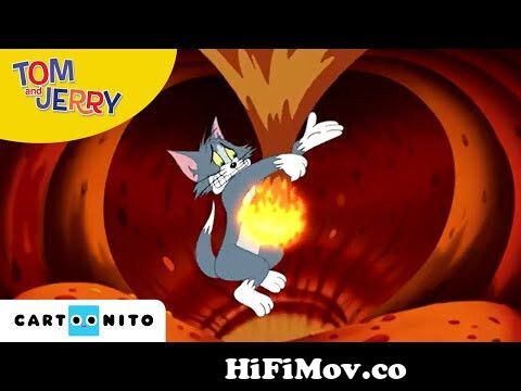 Tom & Jerry | Best of Jerry Van Mousling | Cartoon Compilation | WB Kids  from tom and jerry tales boomerang uk Watch Video 