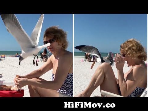 Heads UP! 😂 Funniest Fails of the Week | Funny Videos from July 2022 | AFV  2022 from www funny video Watch Video 