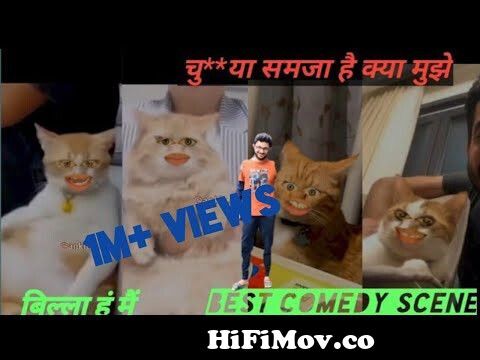 Bagad Billa best Comedy Video| Billa funny 🤣 video| #billa comedy 2022  from carton iris gali comedy video download Watch Video 
