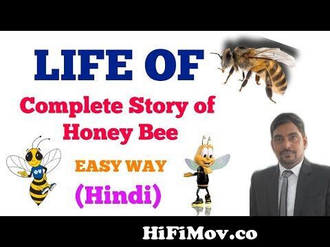 ultra b on hindi from bee bee ub all hindi episode Watch Video 