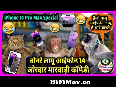 जानवरो की दीवाली पार्ट 2 | Funny Animal Talking Marwadi Dubbing | Diwali  2021 Special Marwadi Comedy from marvadi comedy of ambika dj novi Watch  Video 