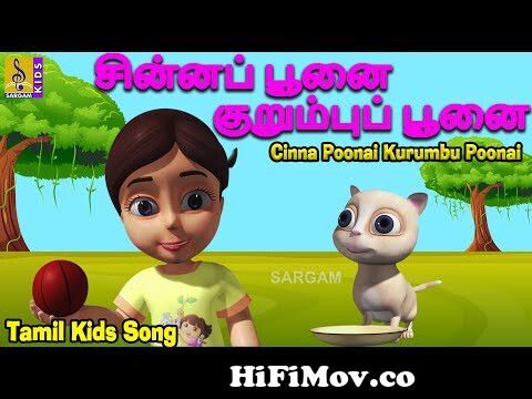 Cinna Poonai Kurumbu Poonai |Naughty cat | சின்னப் பூனை குறும்புப் பூனை |  Tamil Kids Song from kurubu poonai youtube video Watch Video 
