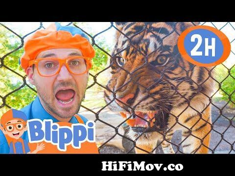 2 HOURS OF BLIPPI ANIMALS | Best Animal Videos for Kids | Educational  Videos for Kids | Blippi Toys fromanim Watch Video 