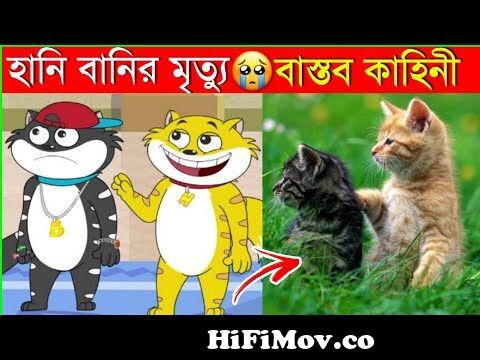 হানি বানি কার্টুন সত্য কাহিনী || Honey Bunny Cartoon Real Story in Bangla  || Stranger Web from হানি বানি movie Watch Video 