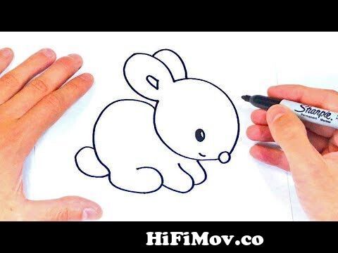 Cómo dibujar un Conejito Paso a Paso | Dibujos Fáciles from dibujos faciles  y bonitos con plumon delgado Watch Video 