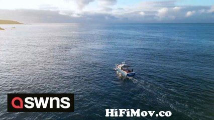 View Full Screen: drone footage shows bluefin tuna school feeding frenzy off the coast of britain.jpg