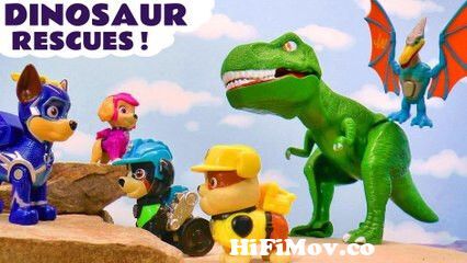 Paw Patrol Pups Learn How To Look After DINOSAURS Cartoon for Kids from  hindi nokia asoka rex Watch Video 