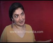 WildFilmsIndia