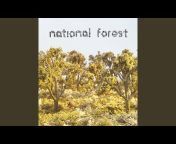National Forest - Topic