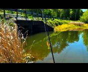 Creek Fishing Adventures
