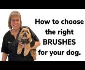 Dog Grooming Tips and Tricks