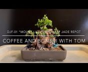 Coffee and Bonsai with Tom