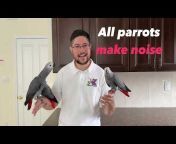 All Parrots
