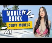 Review Curvy