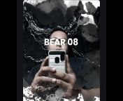 Bear 08