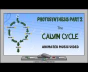 Biology Music Videos
