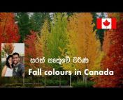 Travelogue Canadian