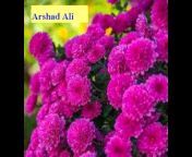 Arshad Ali