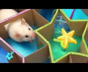 The Secret Life of my Hamster