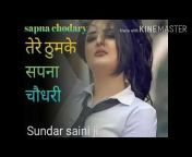 Sundar saini channel