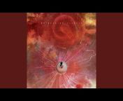 Animals As Leaders - Topic