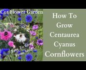 Cloudberry Flowers - Flower Farm and Garden