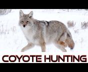 Coyote Down