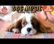 HealingMate - Dog Music