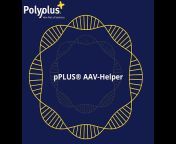 Polyplus