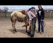 Idaho Horseshoeing School