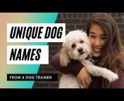 Lisa Gallegos - Dog Training