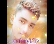Saleuddin Sk