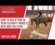 CHTO, Cutting Horse Training Online
