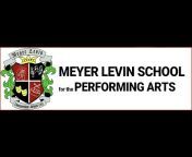 The Meyer Levin School I.S. 285