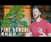 Eisei-en Bonsai Kyoto