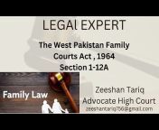 LEGAL EXPERT