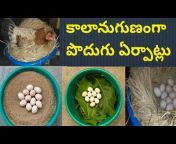 Young farmer A to Z Telugu