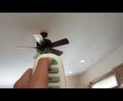 CeilingFanGuy1000-A Fan Collector