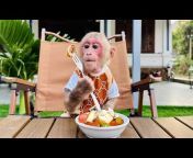Monkey BiBi