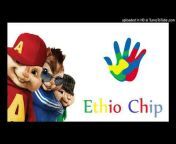 Ethio Chip