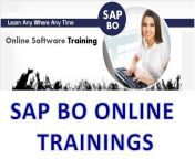 SN Online Trainings