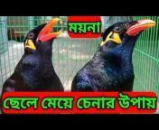 News 9 Bangla