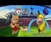 Cat Memes Football