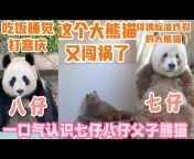 熊猫馆 panda