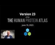 The Human Protein Atlas