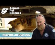 Animal Pet Rescues