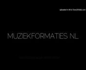 muziekformaties NL